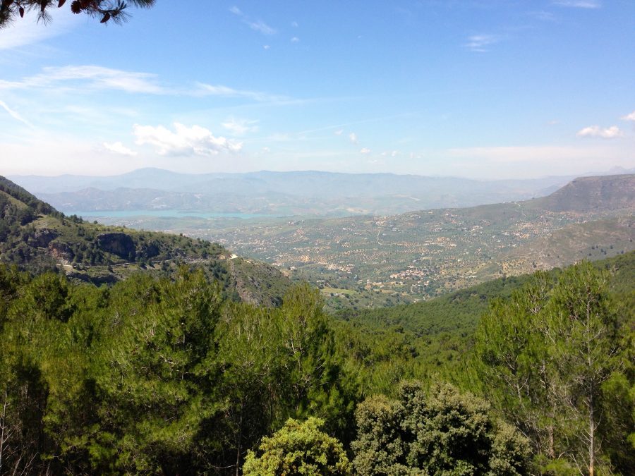 Natuurpark Sierras de Tejeda y Almijara y Alhama